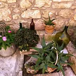 Stone House Hedonia Vila *