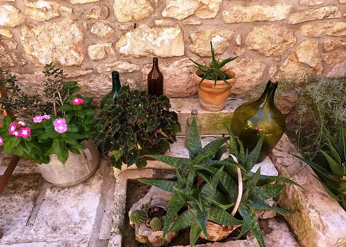 Stone House Hedonia Villa *