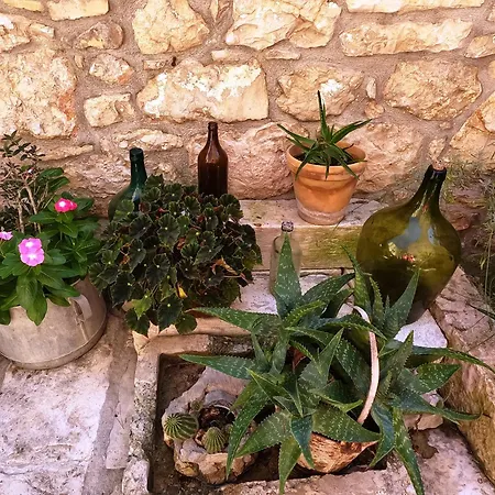 Stone House Hedonia Villa *