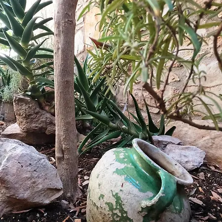 Villa Stone House Hedonia *