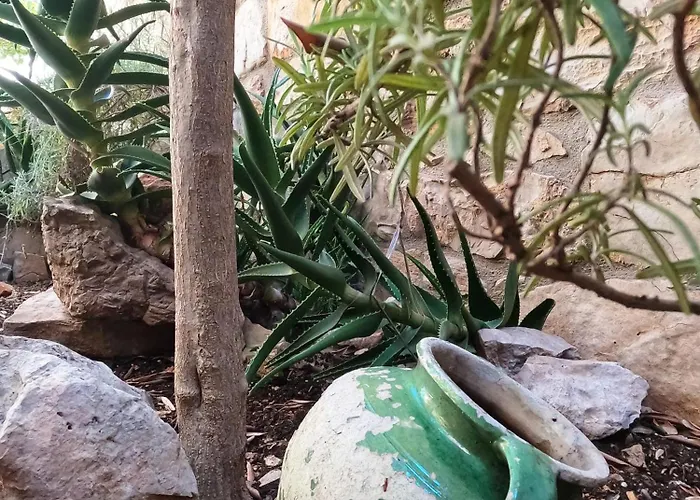 别墅 Stone House Hedonia *